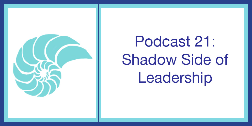Podcast 21: Shadow Side of Leadership